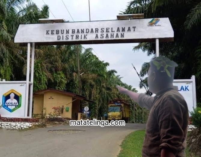 Afdelling III Kebun Bandar Selamat Mendadak Ramai Dibicarakan Warga Aek Songsongan
