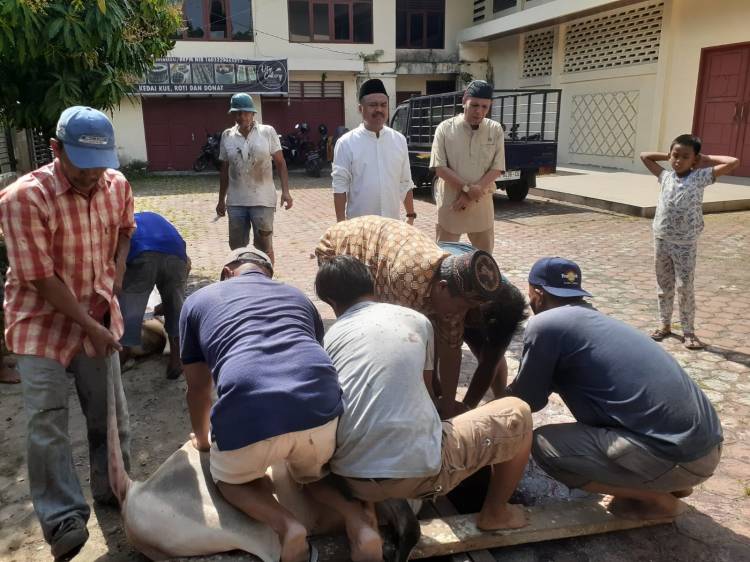 PWI Sumut Sembelih 5 Hewan Kurban