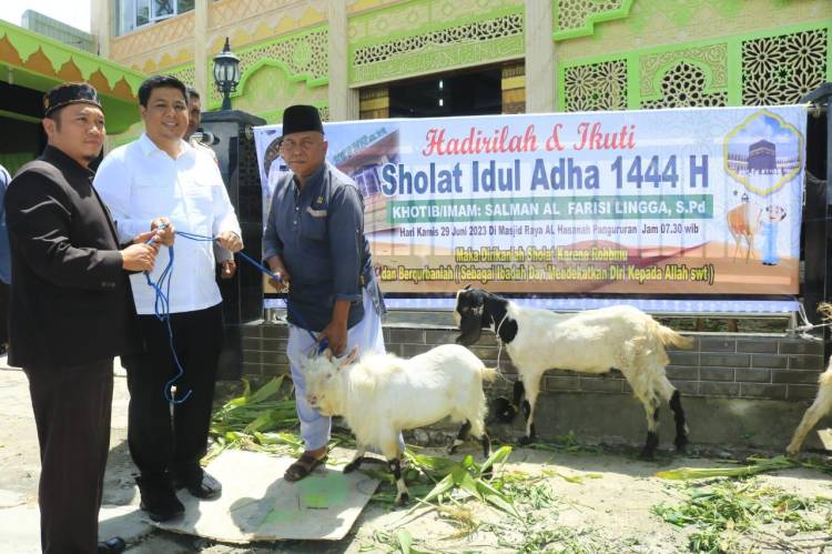 Rangka Hari Raya Idul Adha 1444 H, Bupati Samosir Serahkan Hewan Qurban
