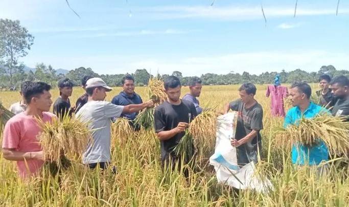 Petani Abdya Lakukan Metode Ramah Lingkungan