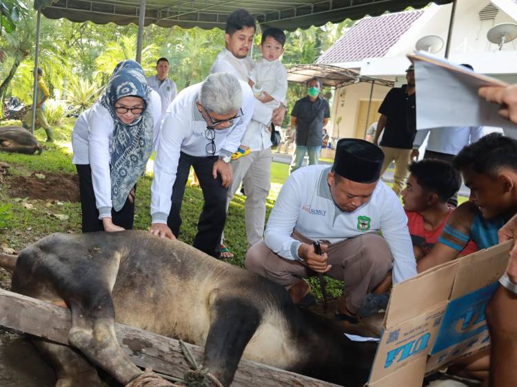 Pemko Pematang Siantar Sembelih Kurban Sembilan Ekor Sapi