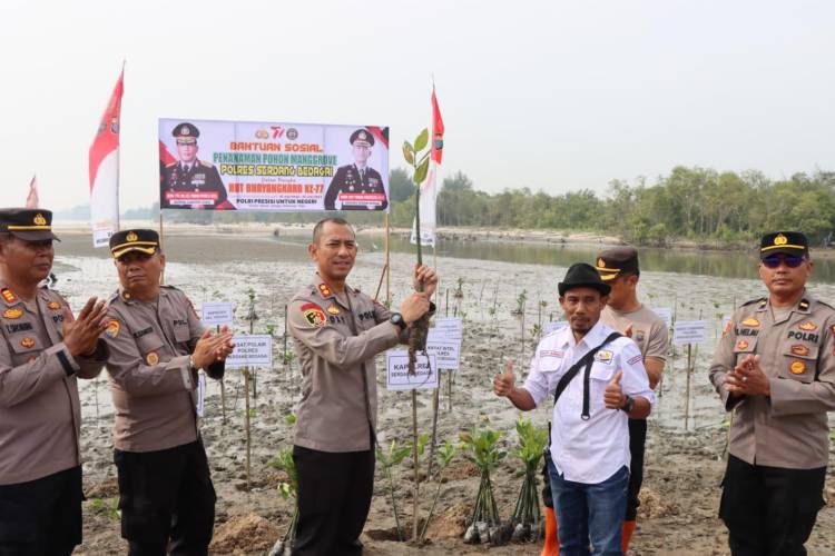 Polres Sergai Tanam Pohon Mangrove 10 Ribu Pohon Di Pesisir Pantai Nagalawan