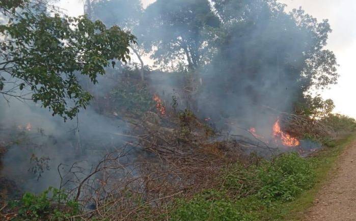 Gera Cepat Tim BPBA Memadamkan Kobaran Api Lahan wilayah Gampong