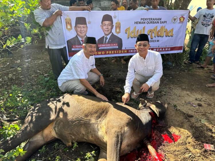 Rayakan Idul Adha 1444 H, Partai GERINDRA Bagikan 20 Hewan Qurban Ke Tabagsel