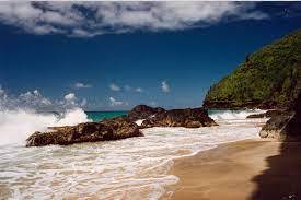 Pantai Panama City diperkirakan Menjadi yang Paling Mematikan di AS