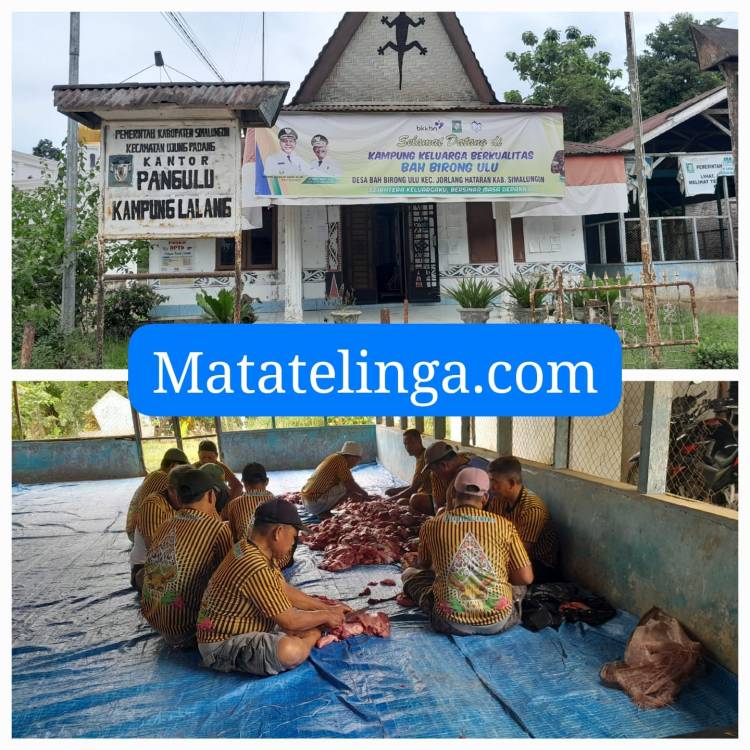 Berkah Idul Adha, Masyarakat Nagori Kampung Lalang Ujung Padang Sembelih 15 Ekor Sapi Dan 8 Ekor Kambing.