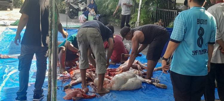 Kepsek MIN 1 Medan Ucapkan Terimakasih Kepada Guru dan Siswa/Siswi Semangat Berqurban