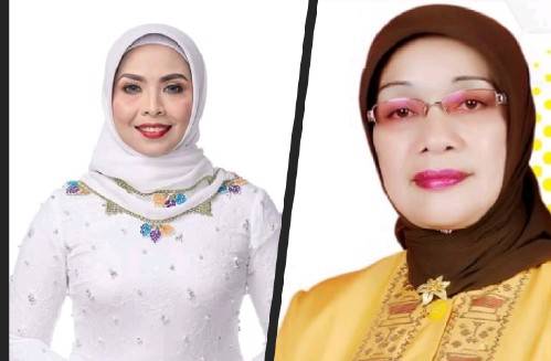 Jelang Pilkada Serentak November  2024, Perpolitikan Di Labuhanbatu Kian Semarak Dengan Munculnya Dua Nama Srikandi Sebagai Balon Bupati
