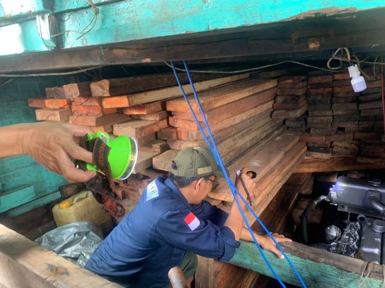 Bakamla RI Tangkap Kapal Bawa Kayu Ilegal di Perairan Laut Banda