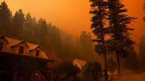 5.000 orang Dievakuasi di New Mexico saat Dua Kebakaran Hutan Menyebar