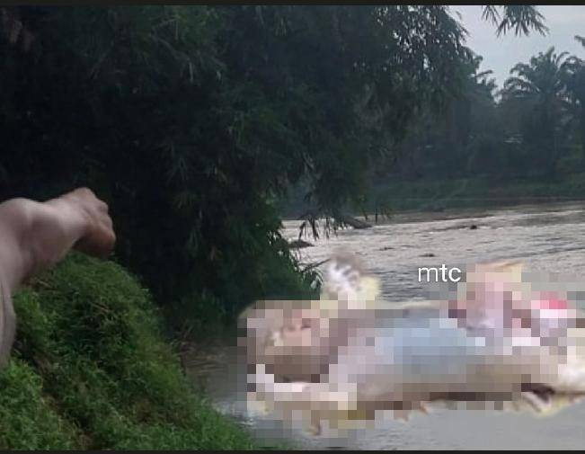 Sosok Jasad Bayi Ditemukan Dialiran Sungai Silau Kisaran