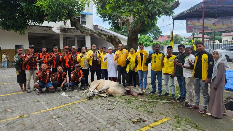 PK Golkar Medan Polonia Sembelih Seekor Sapi Seberat 400 Kilogram