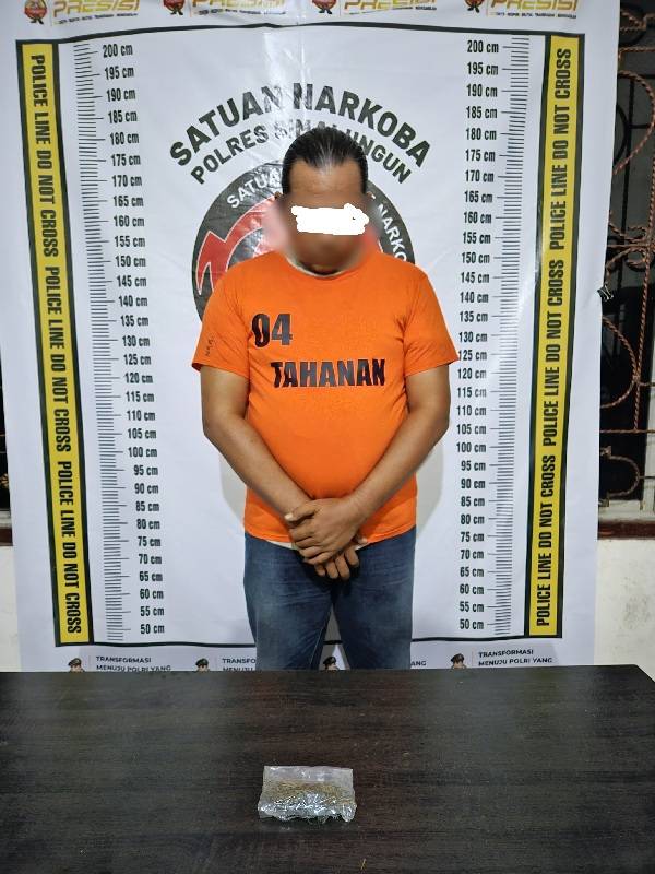 Sat Narkoba Polres Simalungun Tangkap Pemilik Ganja