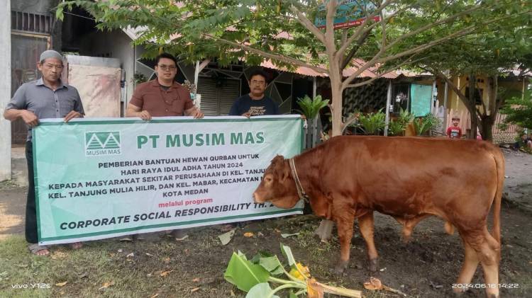 Rayakan Idul Adha 1445 H, PT Musim Mas Bagikan Hewan Qurban di Lingkungan Operasional Perusahaan