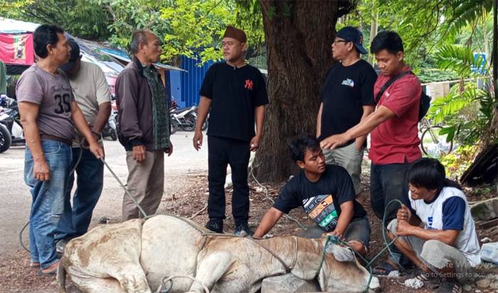 Iduladha 1446 H, Warkop Jurnalis Medan Sembelih 2 Ekor Sapi dan 4 Ekor Kambing
