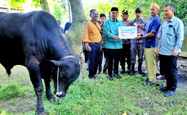Didampingi Kapolres dan Kajari, Bupati Simalungun Serahkan Bantuan Qurban dari Presiden RI