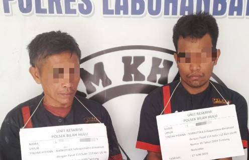 Maling Sawit Nyambi Pengedar Narkoba