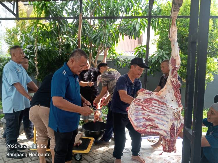 Kesahbandaran Otoritas Pelabuhan(KSOP) Potong Hewan Qurban Idul Adha