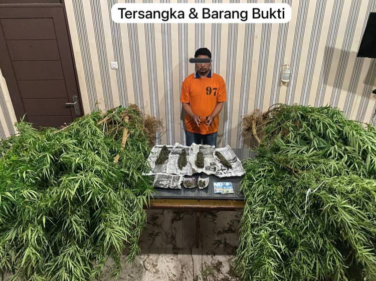 Petani Ganja Gol di Polres Karo