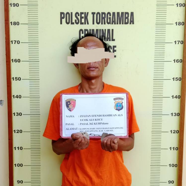 Sempat Viral , Polsek Torgamba Ungkap Pencurian Barang Pengunjung Masjid