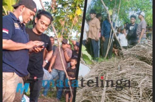 Gempar !!! Centeng Kebun Diduga Jadi Korban Pembunuhan