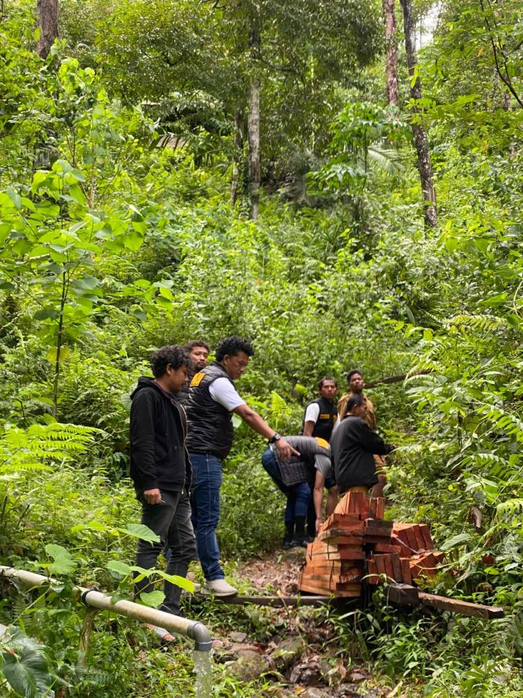 Satres Tipidter Humbahas Sergap  Pencuri Kayu di Hutan Lindung Pakkat