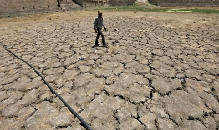 Imbas Kekeringan, 5.666 Hektare Sawah Gagal Panen 