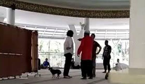 Wanita Bawa Anjing ke Masjid Statusnya Tersangka 