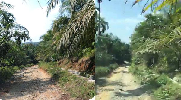 Pak Gubernur, Jalan Menuju Desa Kami Masih Sangat Sempit dan Jelek