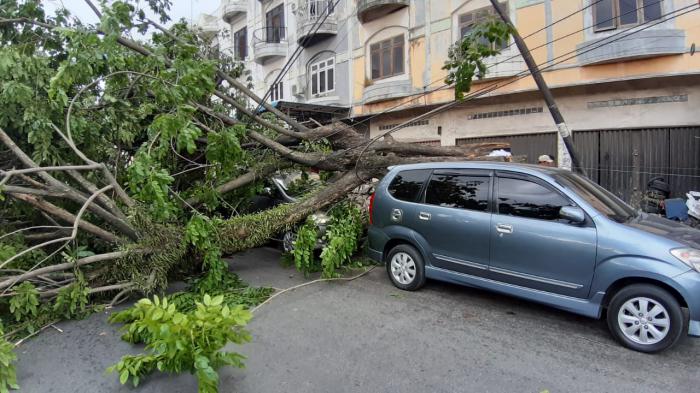 Mobil Parkir Tak Jauh Dari Kantor, Tertimpa Pohon 