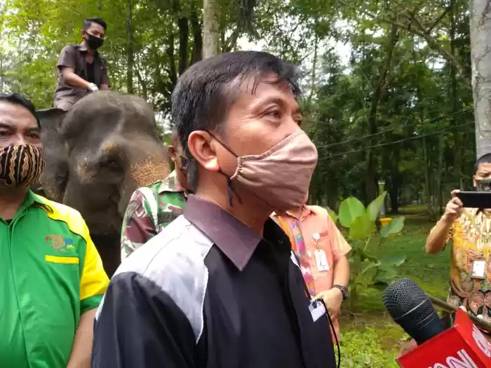 Medan Zoo Dibuka 5 Juli,  Pengunjung Berusia di Atas 60 Tahun dan Balita Dilarang Masuk 