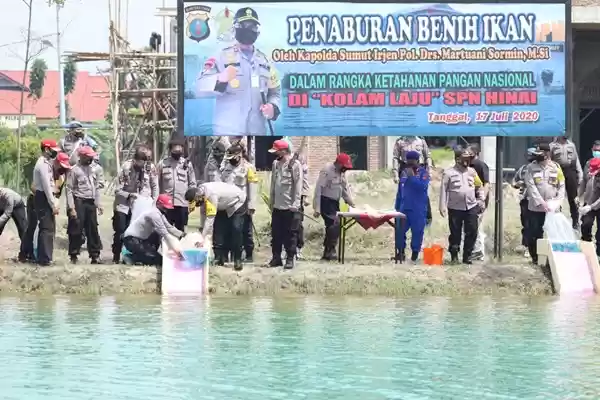Kapoldasu Tabur 10 Ribu Benih Ikan di Kolam Laju SPN Hinai