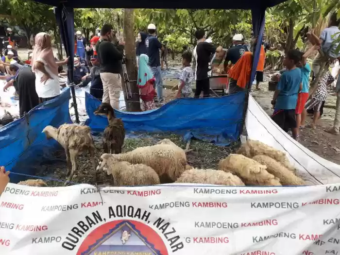 380 Ekor Kambing Disembelih Dikampung Kambing
