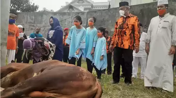 MPW PP Sumut Sembelih 14 Ekor Sapi Dibagikan ke Panti Asuhan