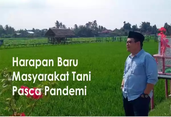 Harapan Baru Masyarakat Tani Pasca Pandemi