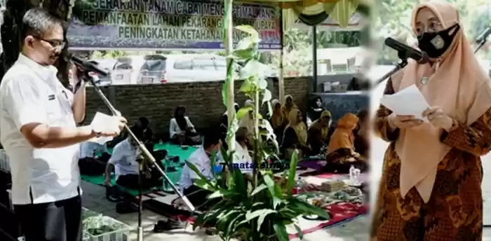 Bupati Asahan Himbau Warganya Manfaatkan Lahan Pekarangan Dengan Tanaman Productif