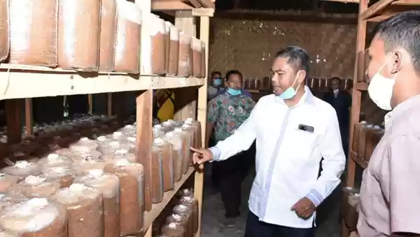 Wabup Sergai Dukung Penuh UMKM Masyarakat Untuk Hidup Lebih Sejahtera