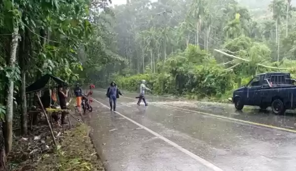Pohon Tumbang,  Sepeda Motor Penjual Rambutan Rusat Berat