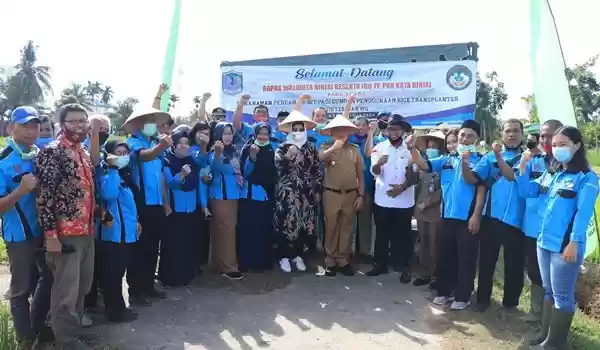 Wali Kota Binjai  Tanam Padi Perdana  Sistem Jarwo