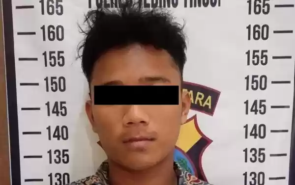 Terciduk Curi Sawit Dinihari, Putra Digiring Ke Kantor Polisi