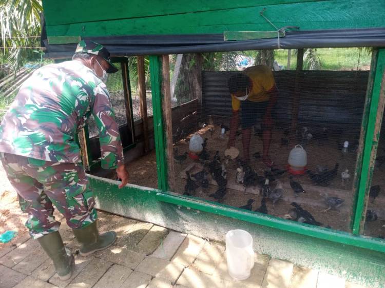 Serda Andi Jusilah, Babinsa Kep. Suak Temenggung kunjungi ternak ayam program TMMD.
