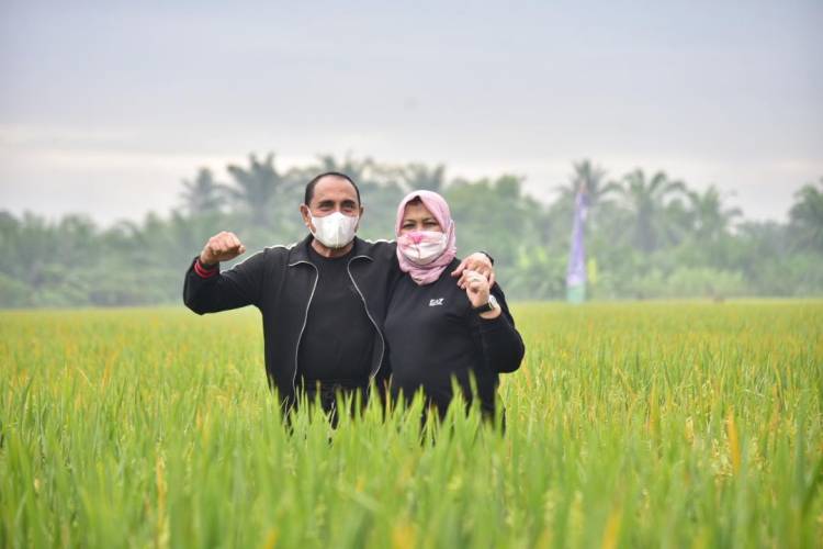 Gubernur Edy Rahmayadi Harapkan Seluruh  Petani Sumut Gunakan Varietas Unggul