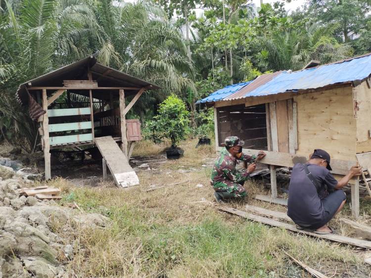 Anggota Satgas TMMD sempatkan diri  bantu warga buat kandang ayam