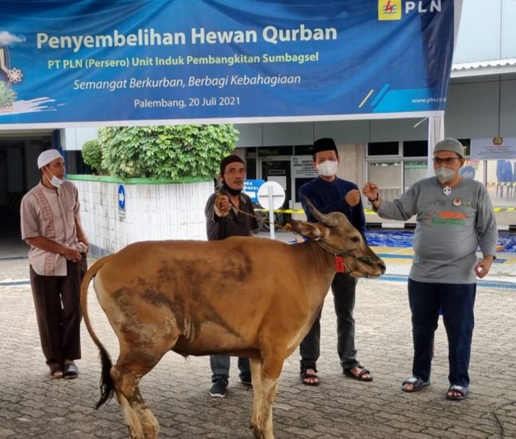 Sambut Idul Adha 1442 H, PLN Sumbangkan 2.977 Hewan Kurban