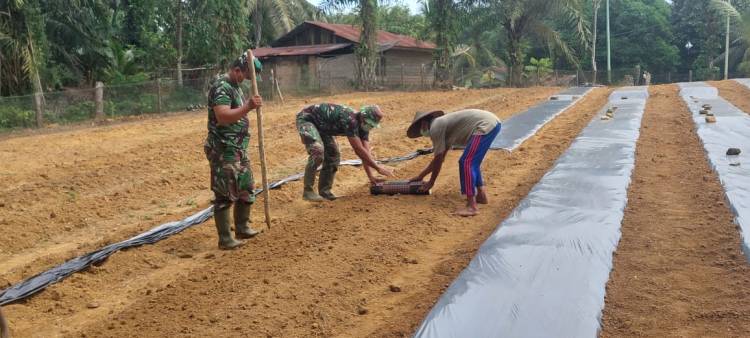 Pak Lamri Senang,  Anggota Satgas TMMD Bantu Penyiapan Lahan Cabainya