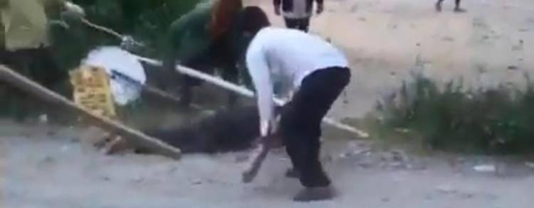 Pasien Covid 19 di Toba Dipukuli, Ini Penjelasan Bupati dan Kabid Humas Polda Sumut