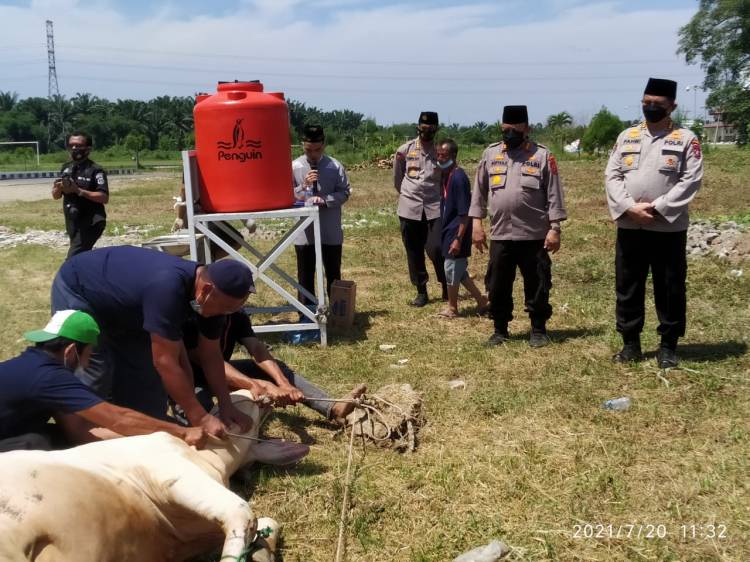 Sembelih 20 Ekor Sapi Dan Sumbangkan ke Yayasan Panti Asuhan Dan Pesantren 23 Ekor Sapi