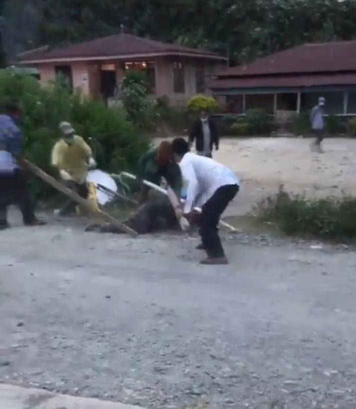 Video Viral Di Klarifikasi Kepala Desa