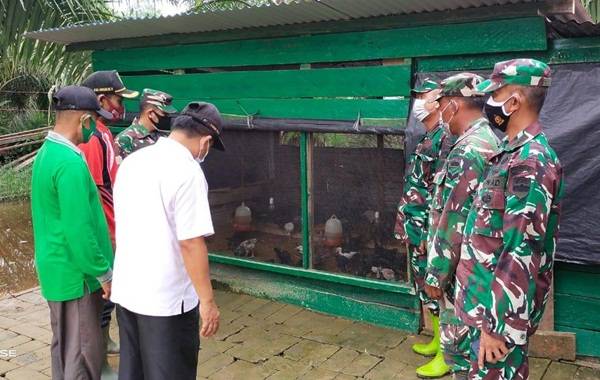 Kasi Ter Korem 031/WB Kunjungi Demplot Ternak Ayam Arab  Program TMMD