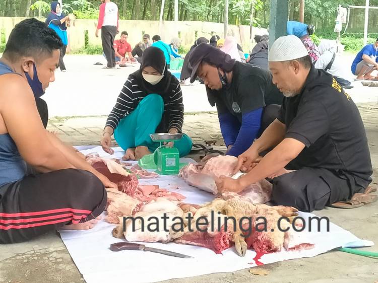 Disporapar Asahan  Qurban 2 Ekor Lembu Dan 2 Ekor Domba